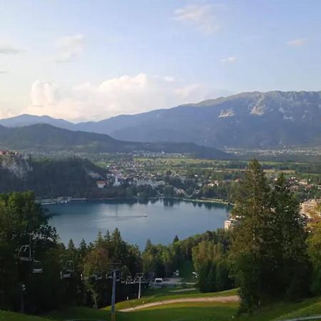 Apartment Mojca Near Bled Zabreznica Exteriör bild